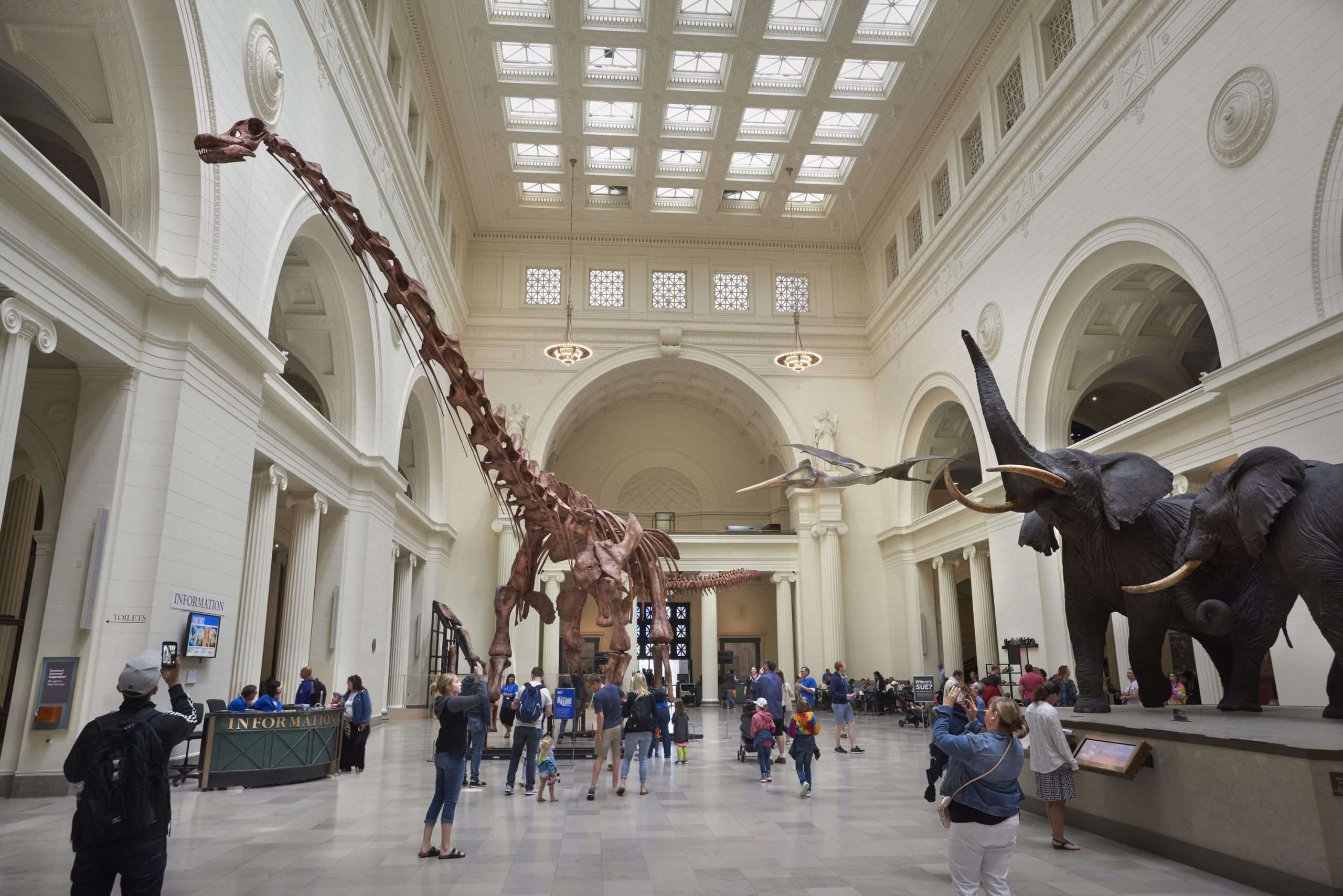 13 Best Chicago Museums You Should Explore Today