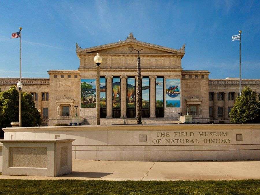 14 Best Museums in Chicago