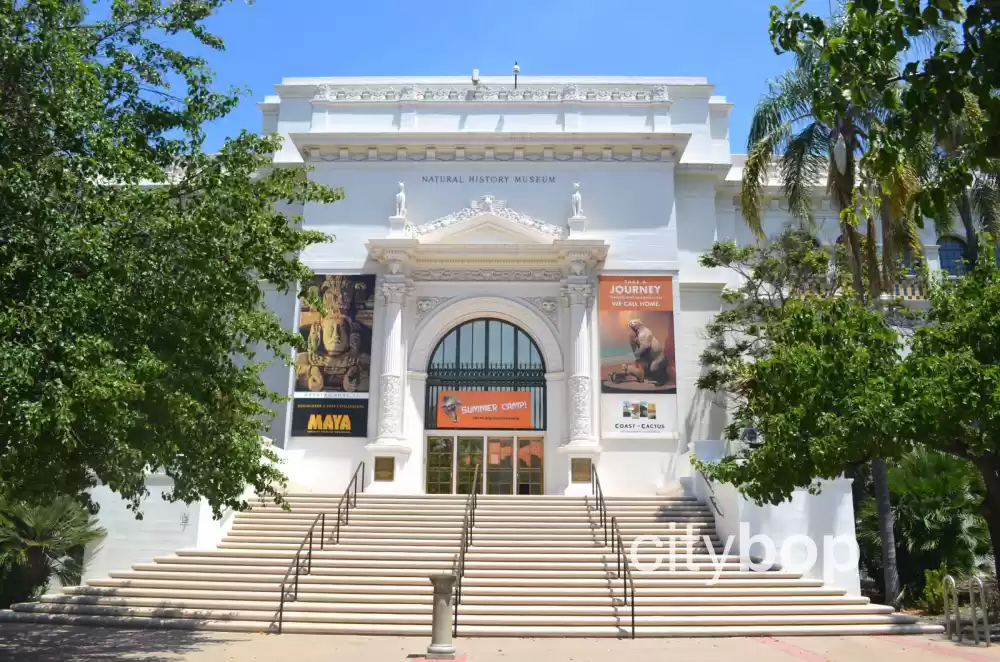 5 BEST Attractions at San Diego Natural History Museum ...