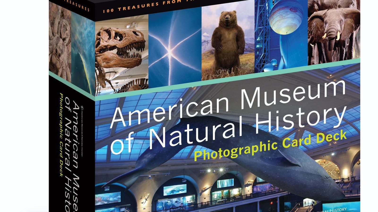 American Museum Of Natural History Card Deck: 100 Treasures from the ...