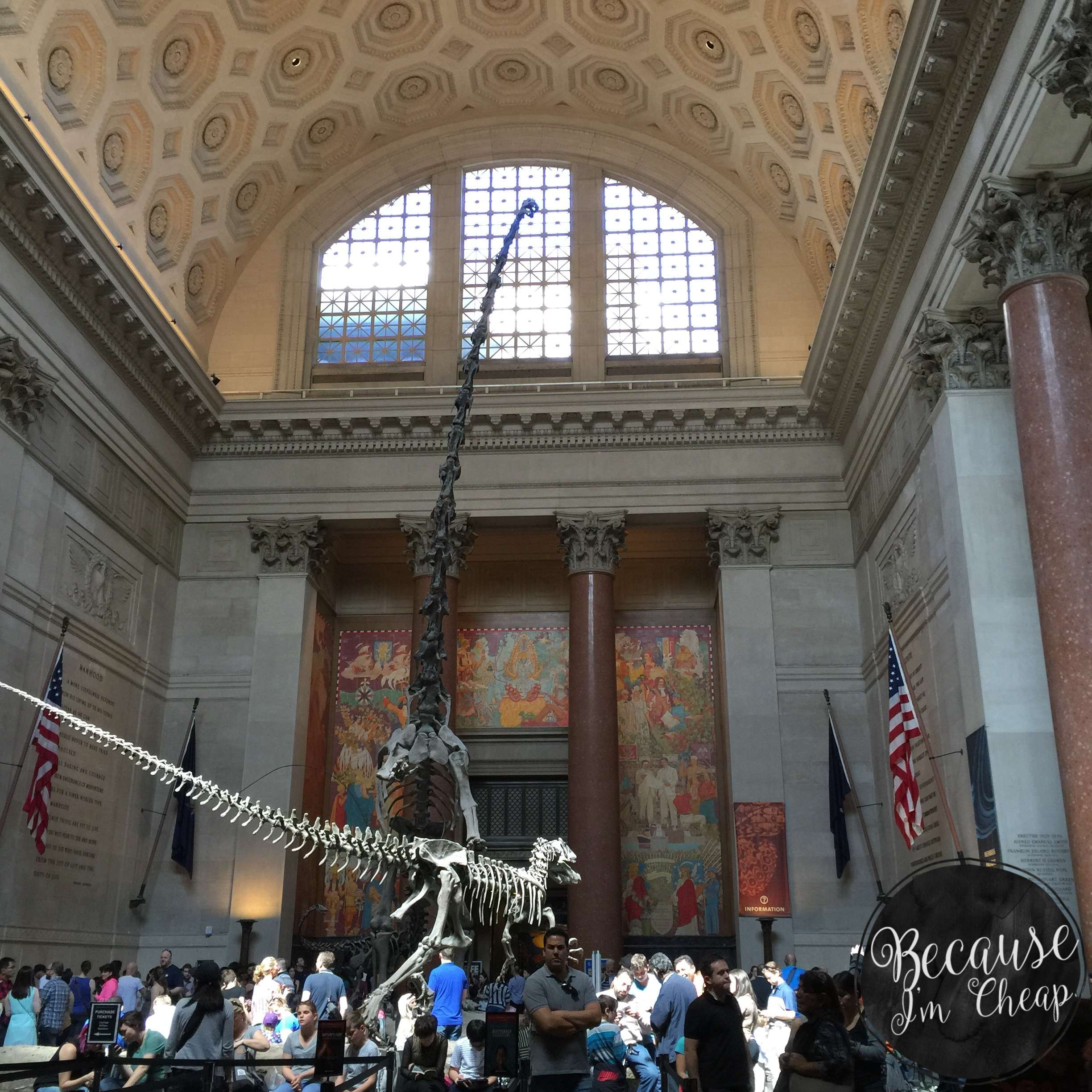 American Museum of Natural History in New York City ...