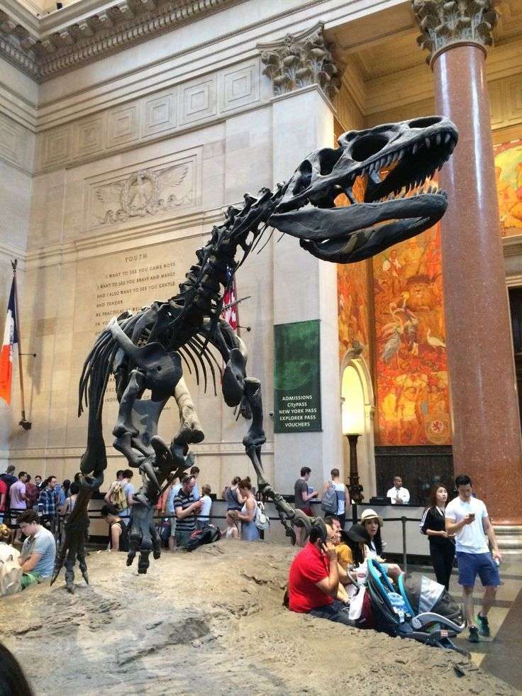 American Museum of Natural History (New York City): Top Tips Before You ...