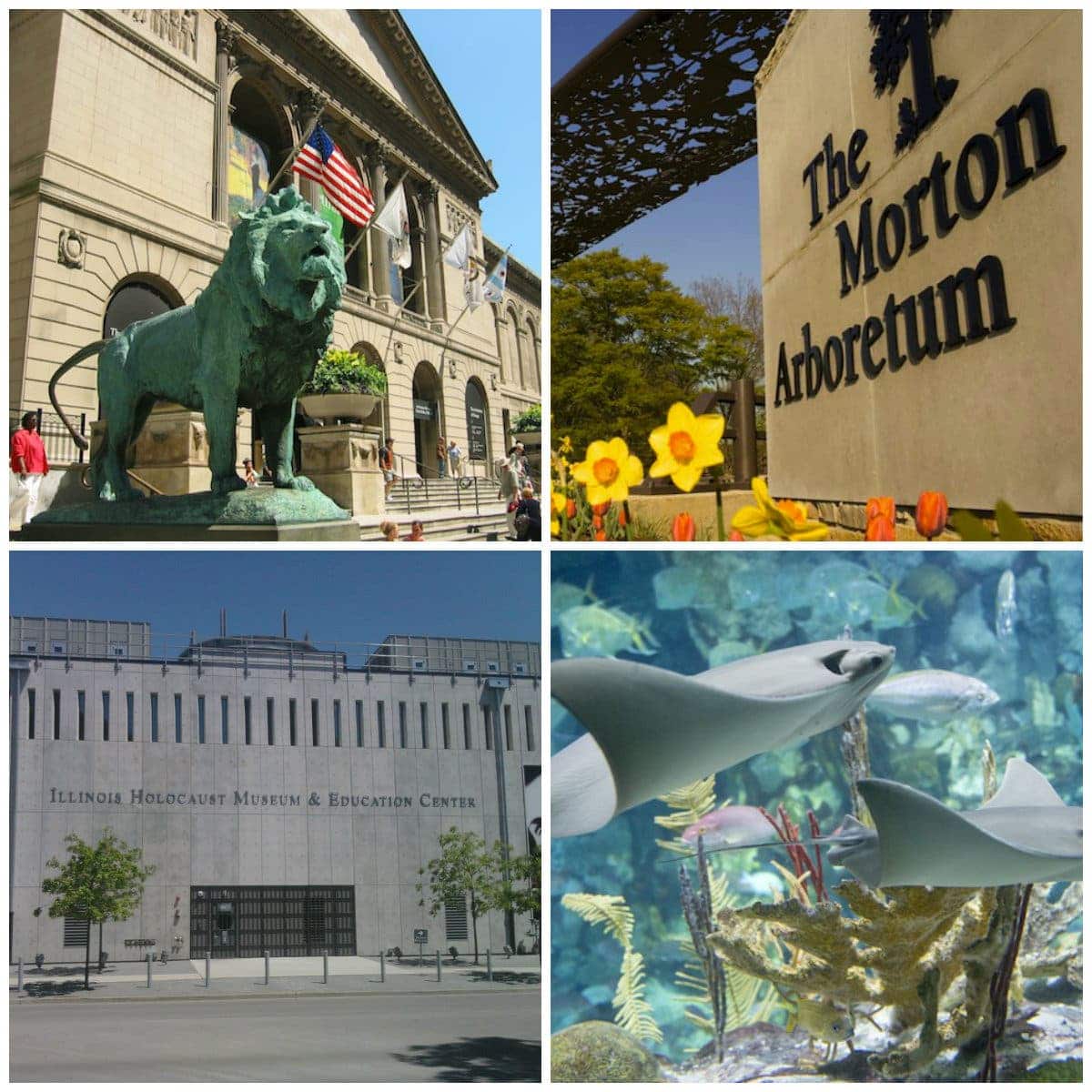 Bank of America Offers Free Admission to Select Museums on Labor Day ...