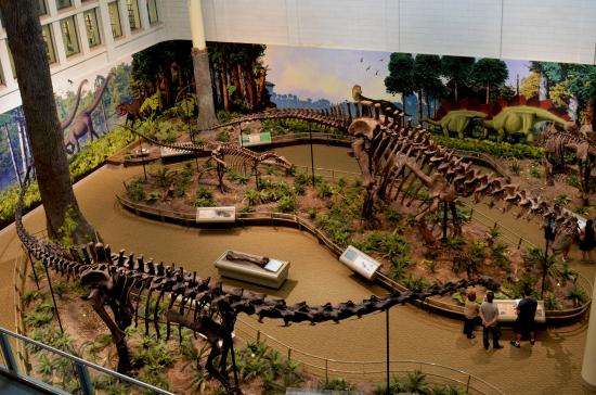 Carnegie Museum of Natural History (Pittsburgh)