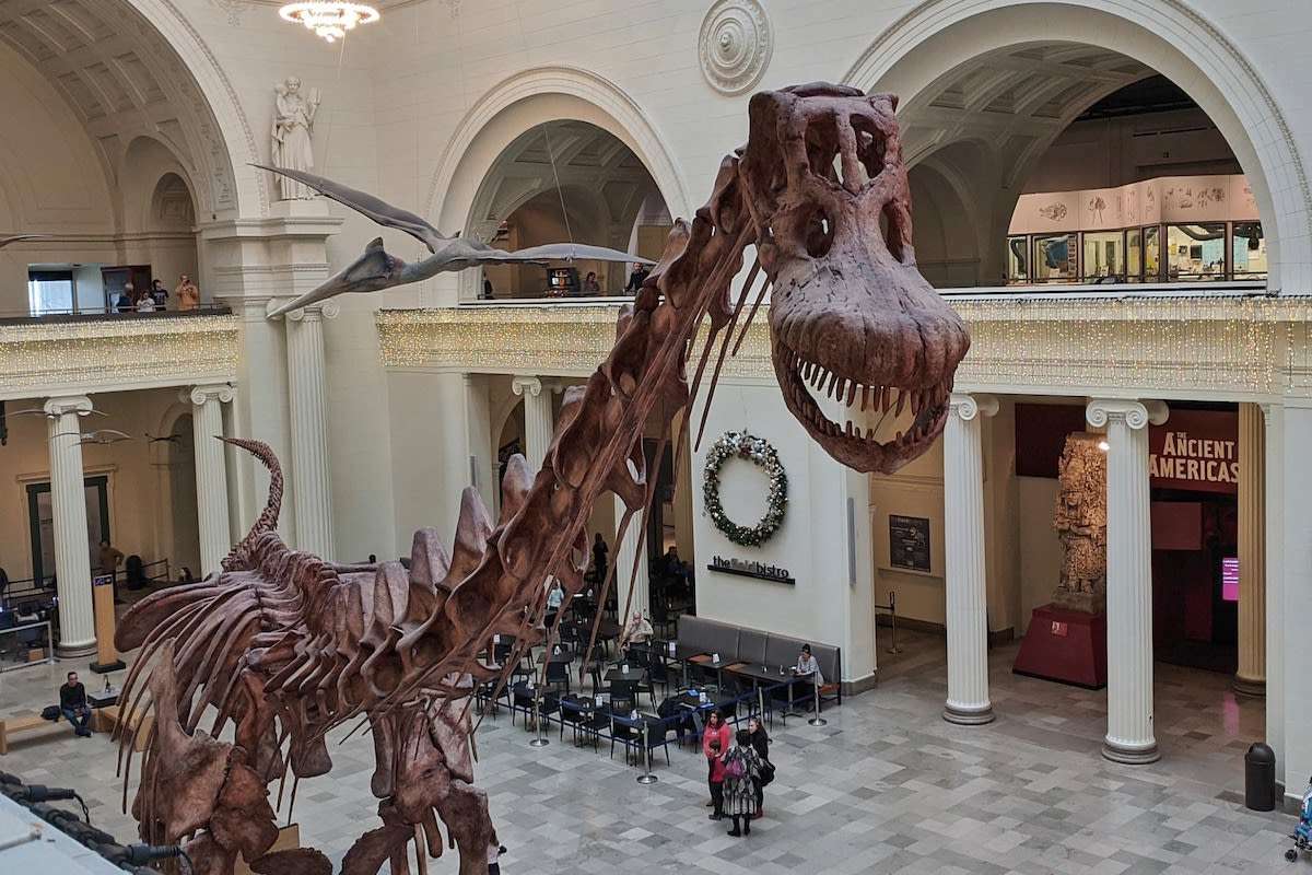 Chicago Free Museum Days In 2020