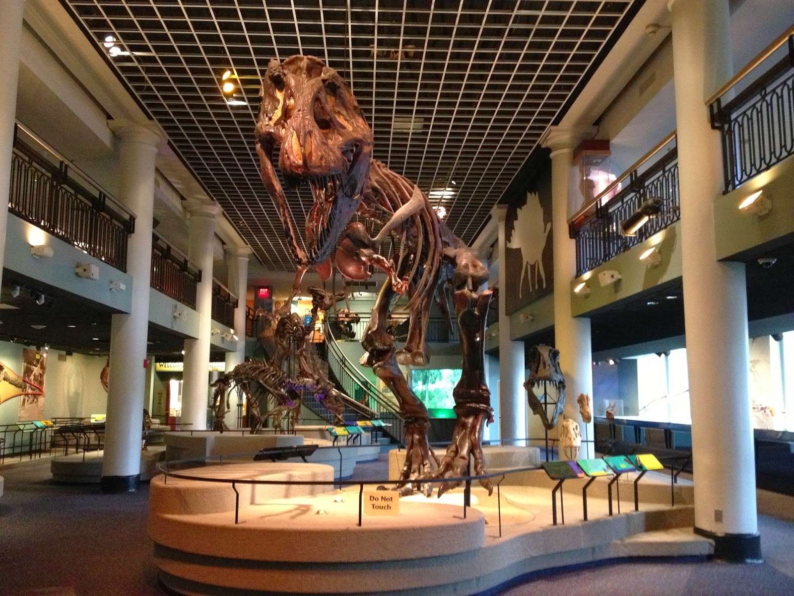 DAILY VACATIONER: Dino Week: Academy of Natural Sciences