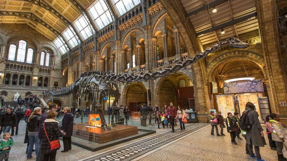 Digitising the hidden treasures of the Natural History Museum, London ...