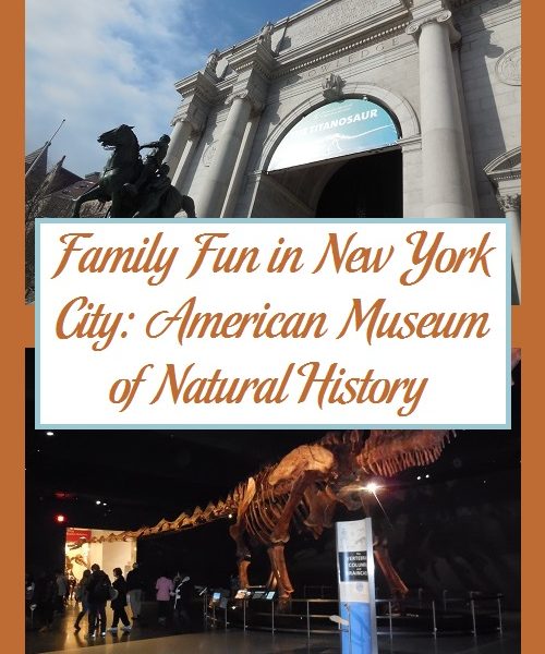 Family Fun in New York City: American Museum of Natural History ...