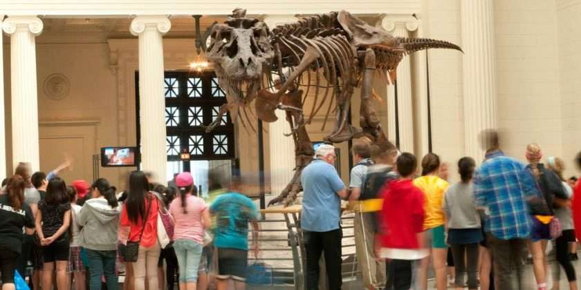 Free Admission Days Coming Up at Field Museum