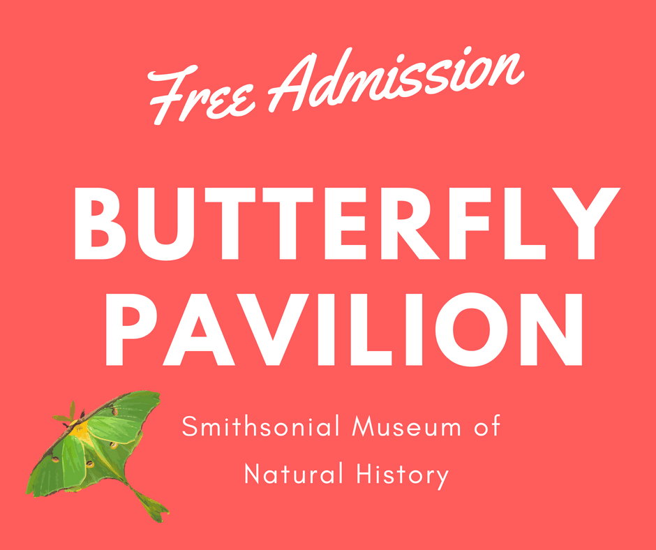 Free Admission to the Butterfly Pavilion at National Museum of Natural ...