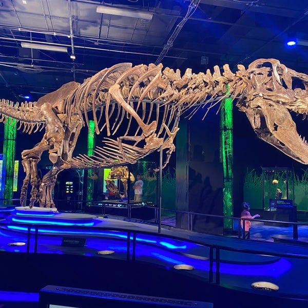 Giant Mysterious Dinosaurs at Arizona Science Center