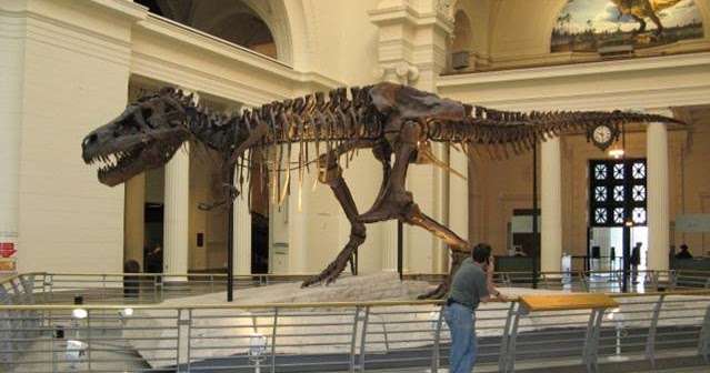 GregLSBlog: Chicago Dinosaurs: Field Museum of Natural History