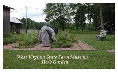 Herb Garden at the West Virginia State Farm Museum