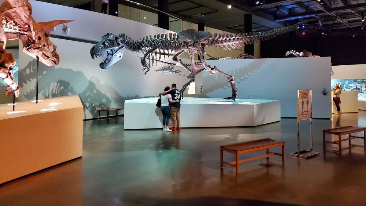 Houston Museum Of Natural Science General Admission