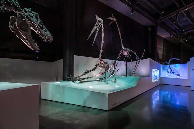 Houston Museum of Natural Science General Admission from $13.75