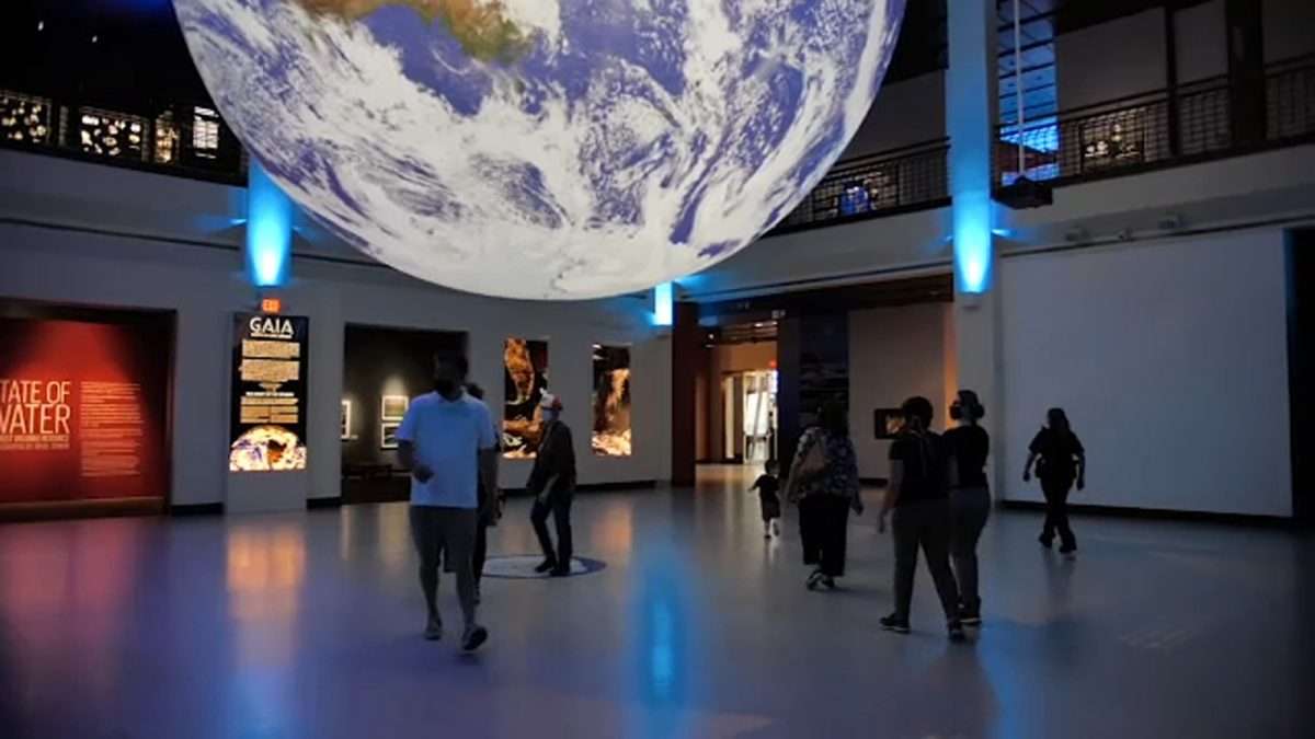 Houston Museum of Natural Science reopens after two months with new ...