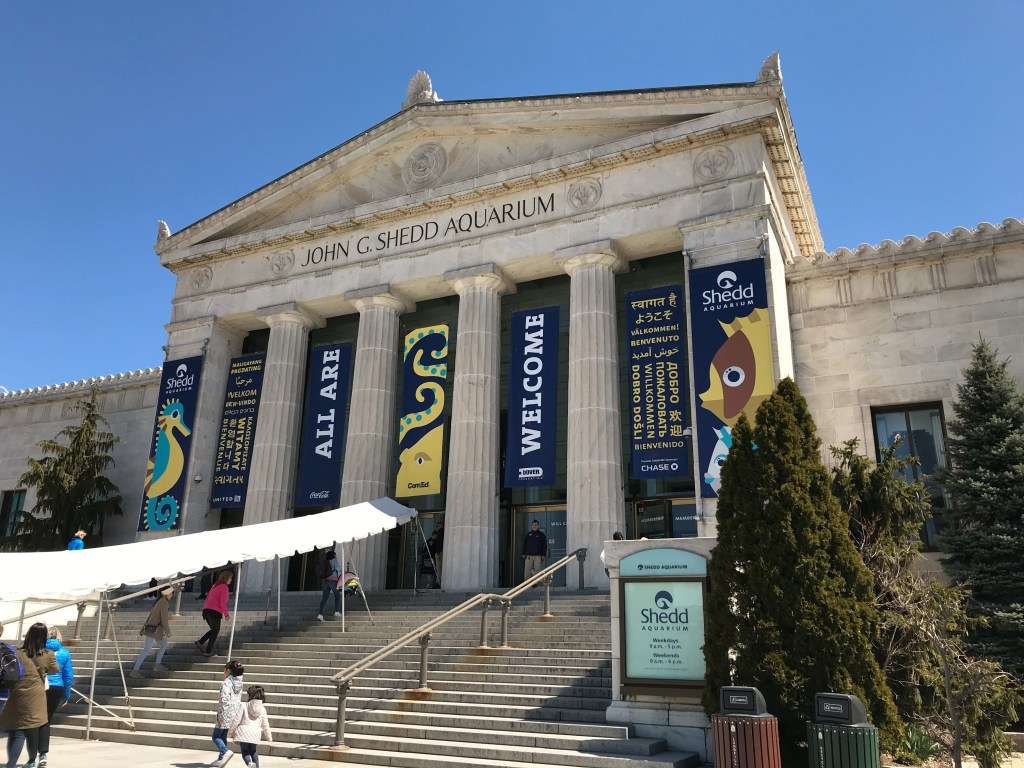 Long Weekend in Chicago: Part 2 The Field Museum, Shedd ...
