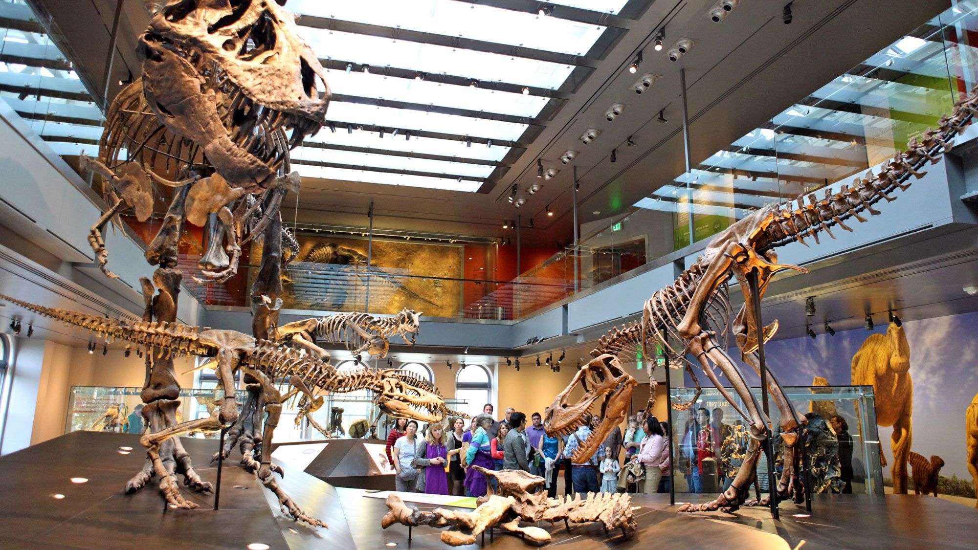 Los Angeles Natural History Museum Tickets
