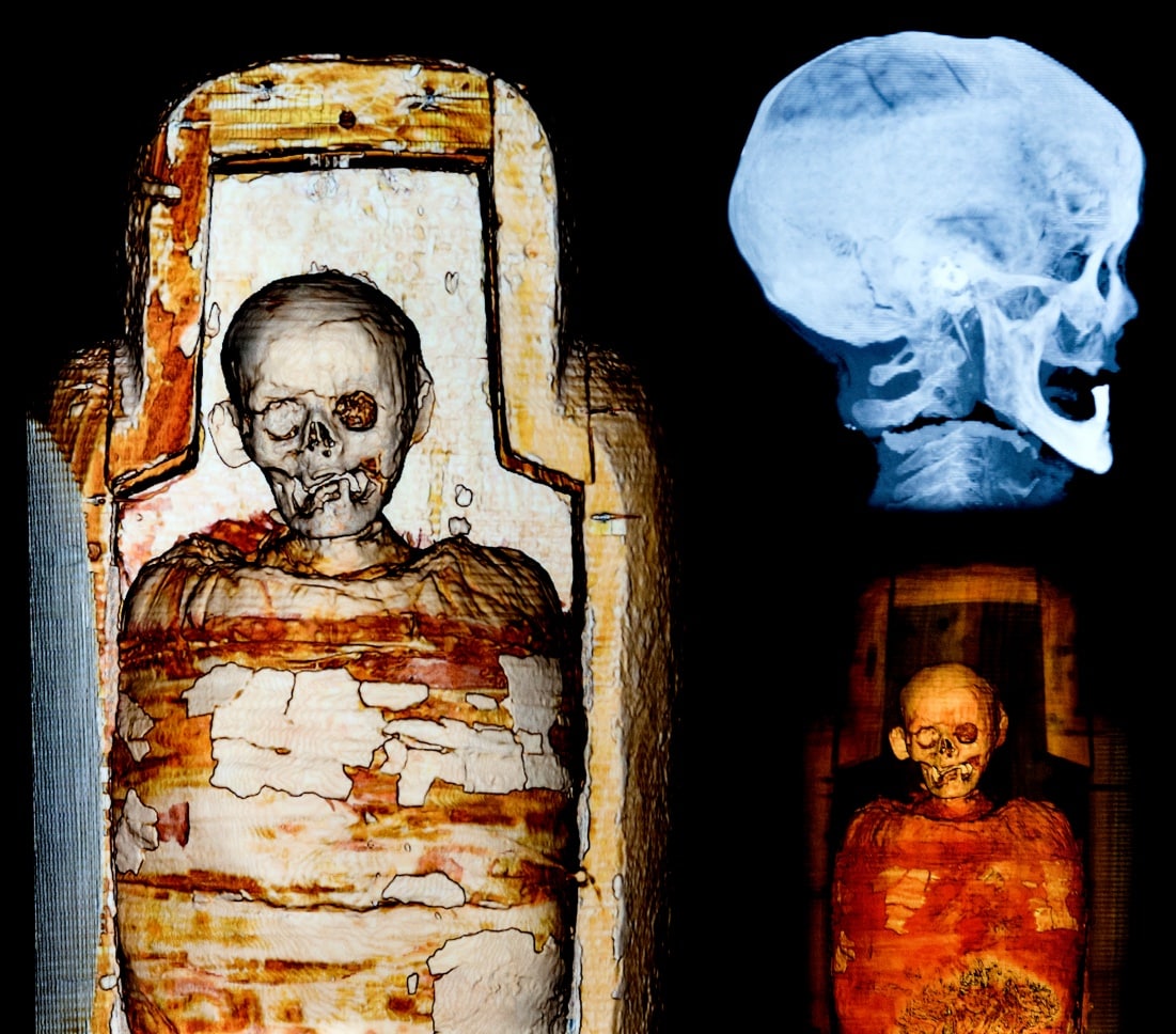 Mummies: New Secrets from the Tombs at the Natural History Museum ...