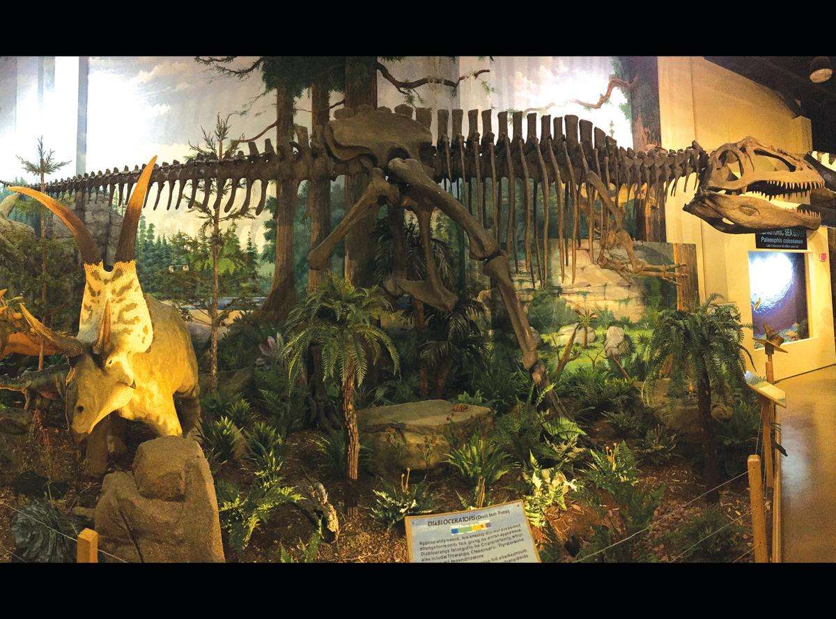 Museum of Dinosaurs and Ancient Cultures in Cocoa Beach