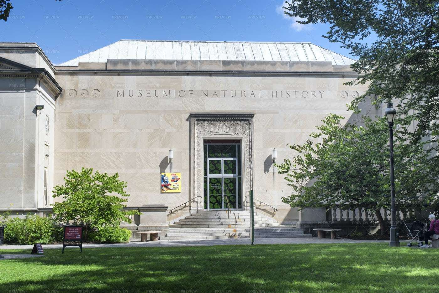 Museum Of Natural History, Springfield