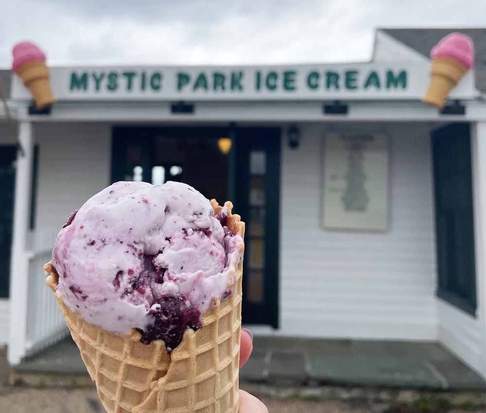 Mystic Park Ice Cream