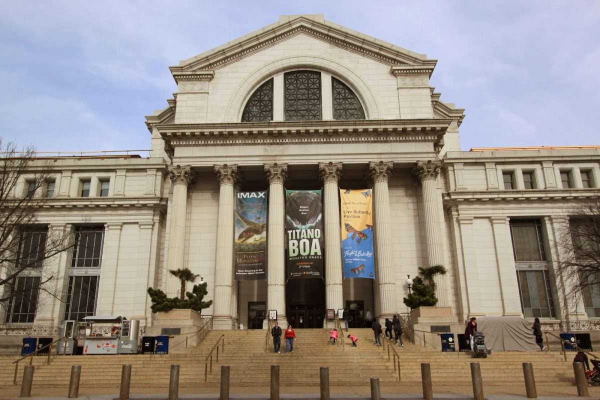 National Museum of Natural History, Washington DC