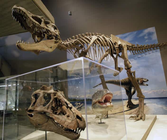 New dinosaur that predates T. rex found in Utah