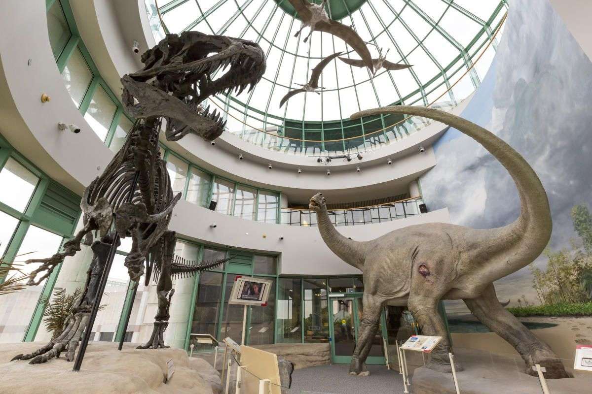 North Carolina Museum of Natural Sciences, Raleigh ...