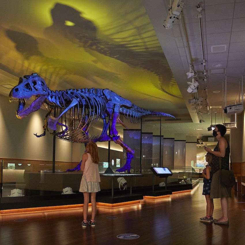 October Free Days at the Field Museum