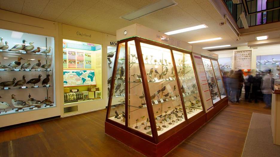 Pacific Grove Museum of Natural History in Monterey ...