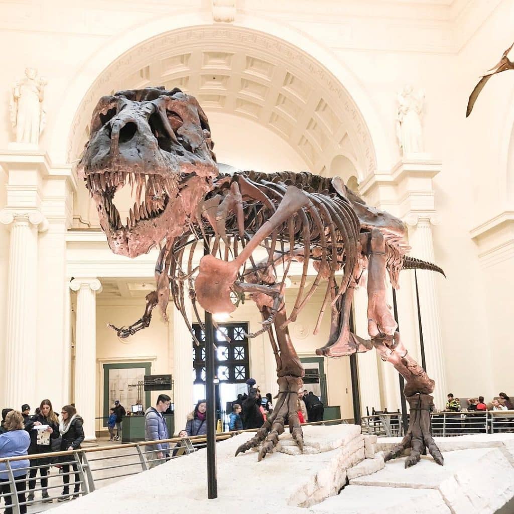 #Perfect4Photos: Family Fun at the Field Museum