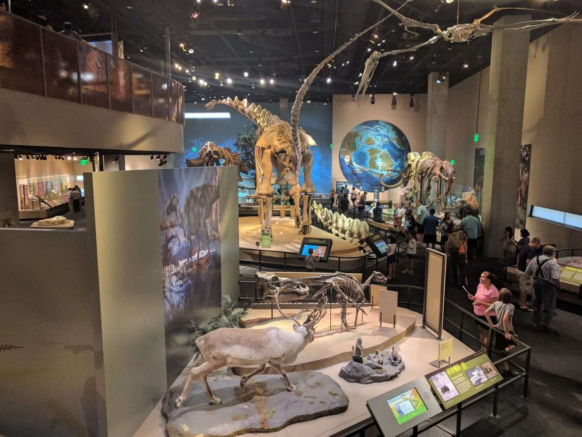 Perot Museum of Nature and Science in Dallas, Texas