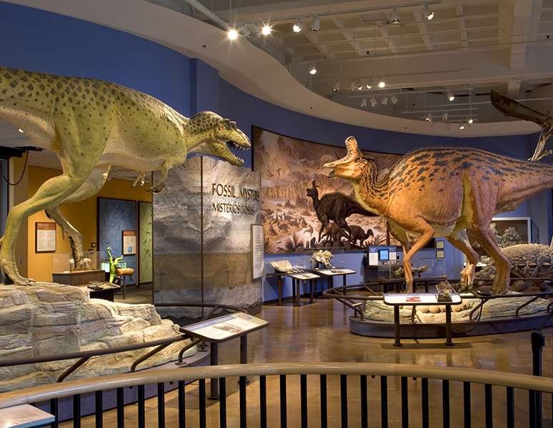 San Diego Natural History Museum (theNAT)
