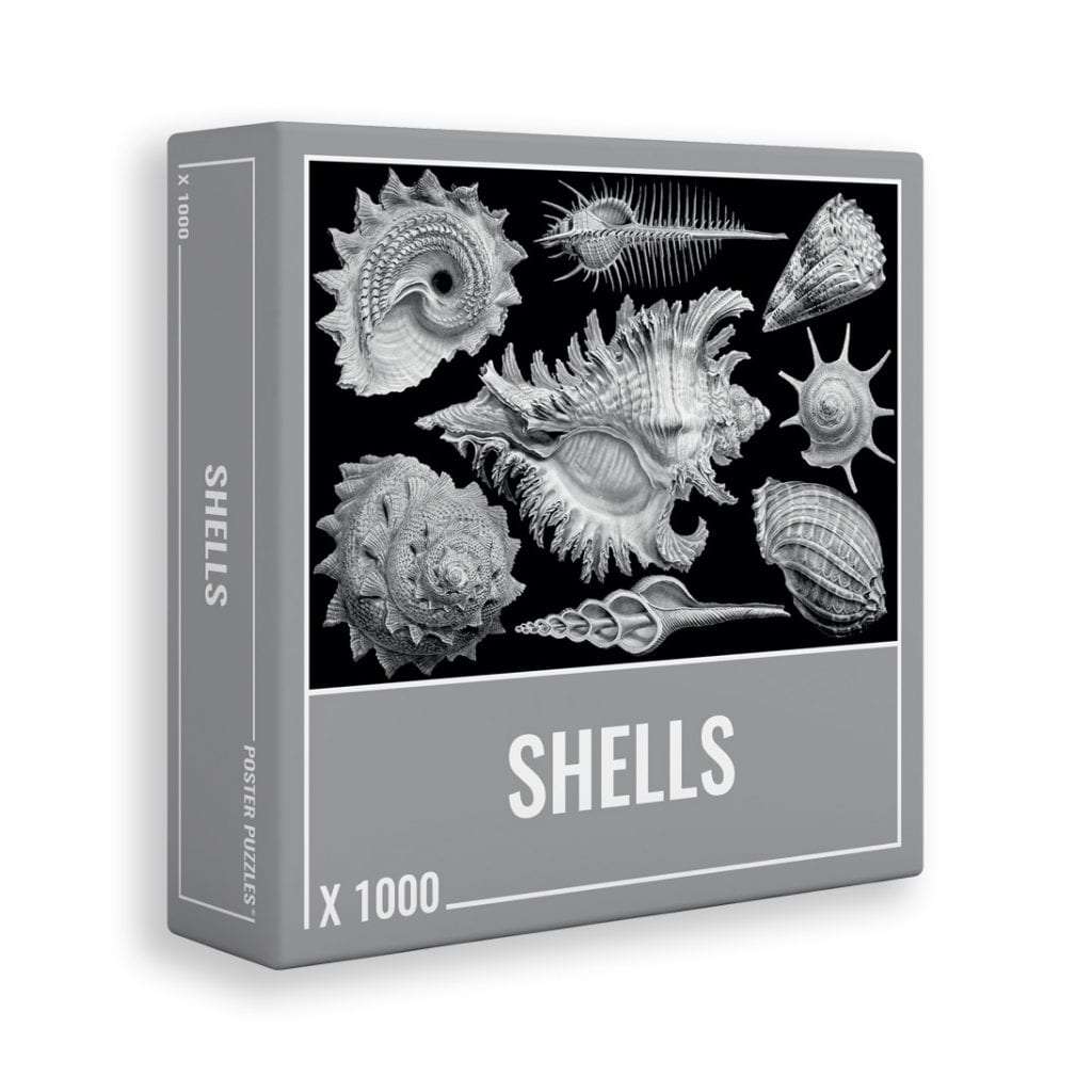 Shells 1000 Piece Puzzle  The Science Museum of Minnesota