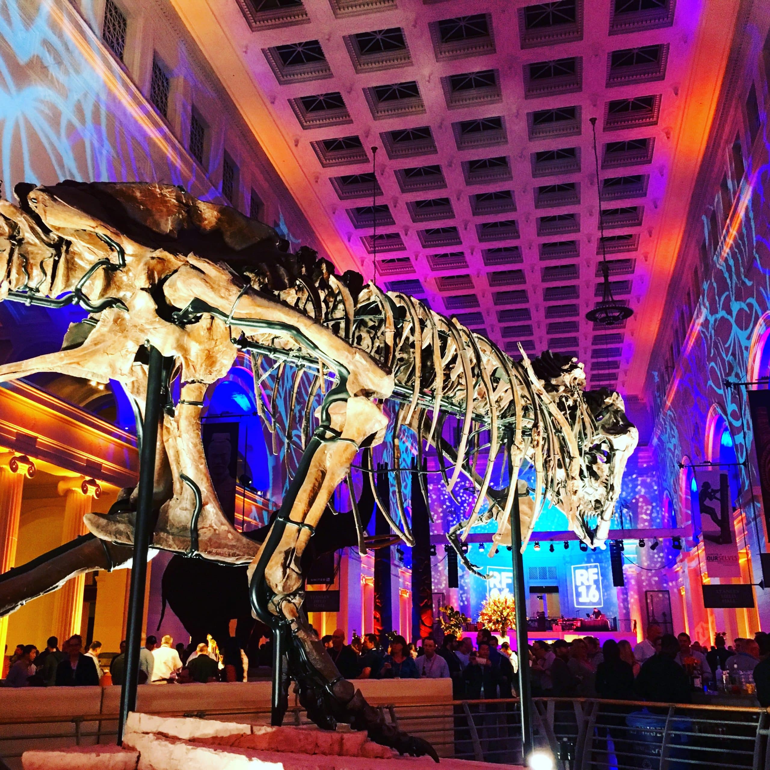 SUE, Field Museum Chicago, Things to Do in Chicago, Weekend Guide to ...