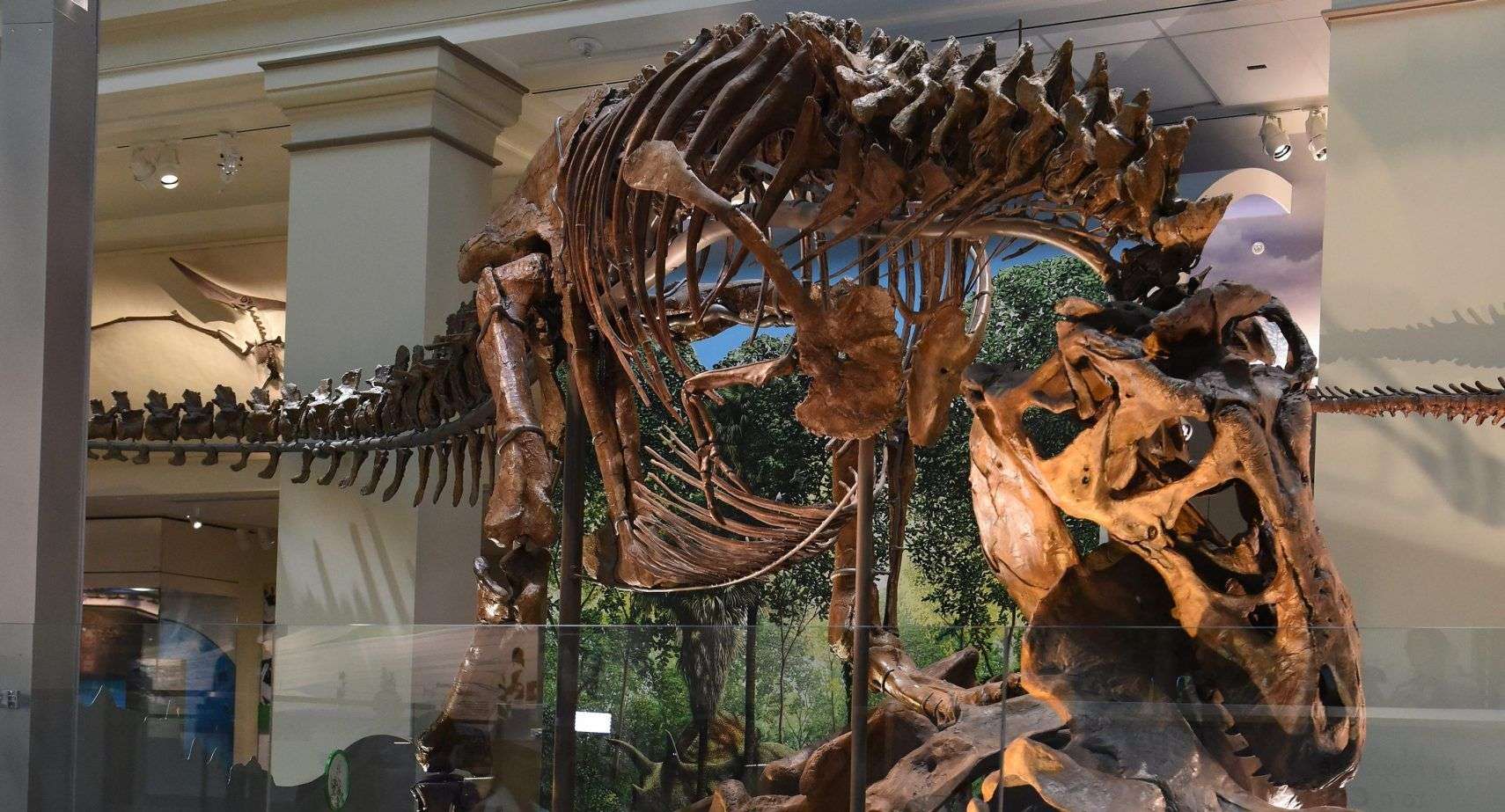 The 10 Best Dinosaur Museums in the World, Ranked