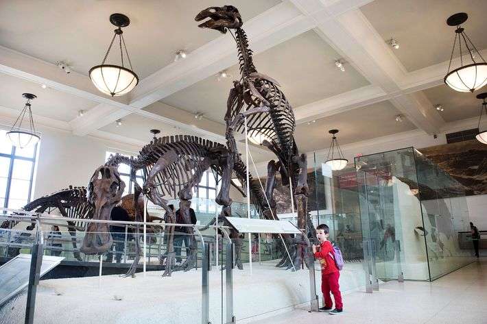 The Absolute Best Museums for Kids in NYC