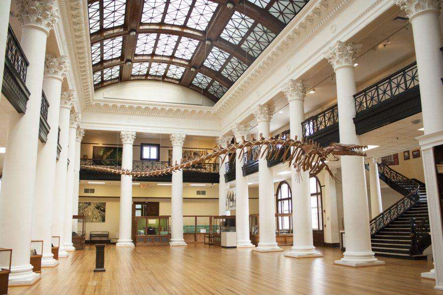 The Alabama Museum of Natural History seeks to educate the public and ...