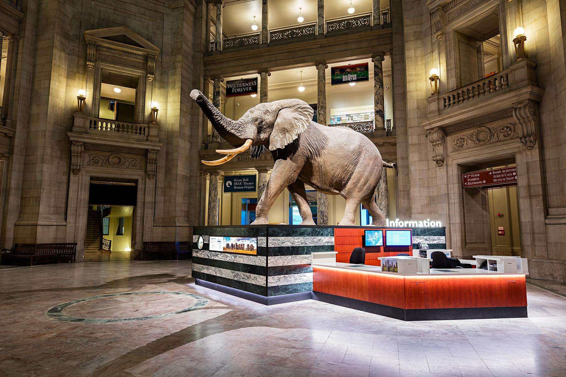 The Best Museums in Washington D.C.
