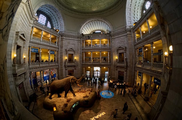 The Best Museums In Washington DC