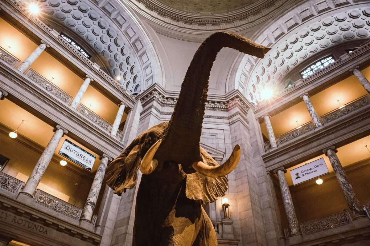 The best (secret) Washington DC museums tourists dont know about