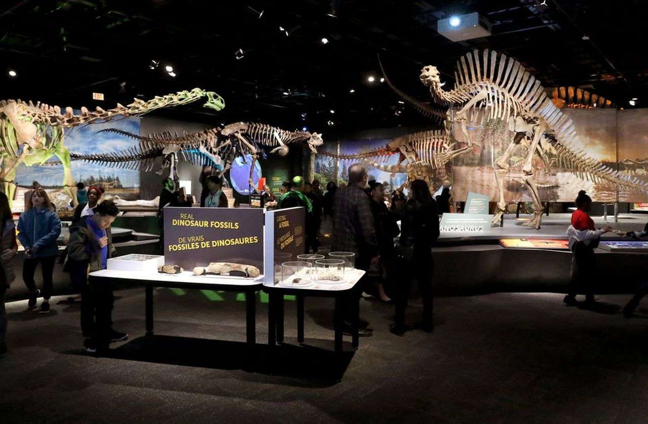 The Cleveland Museum of Natural History