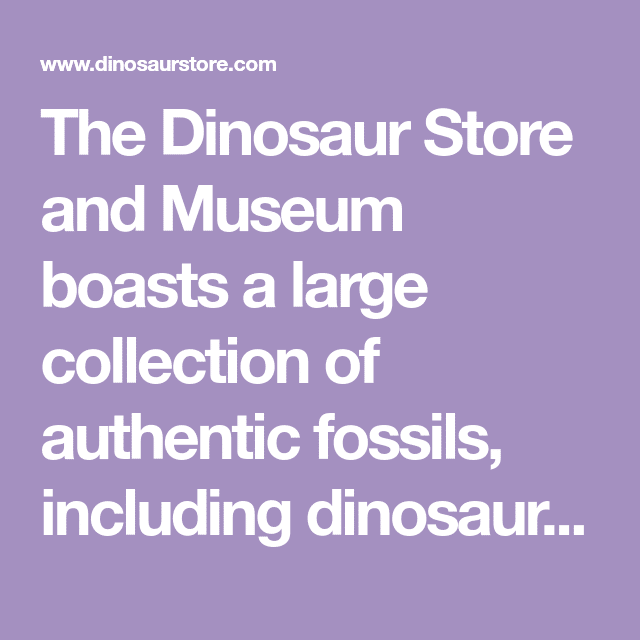 The Dinosaur Store and Museum boasts a large collection of authentic ...