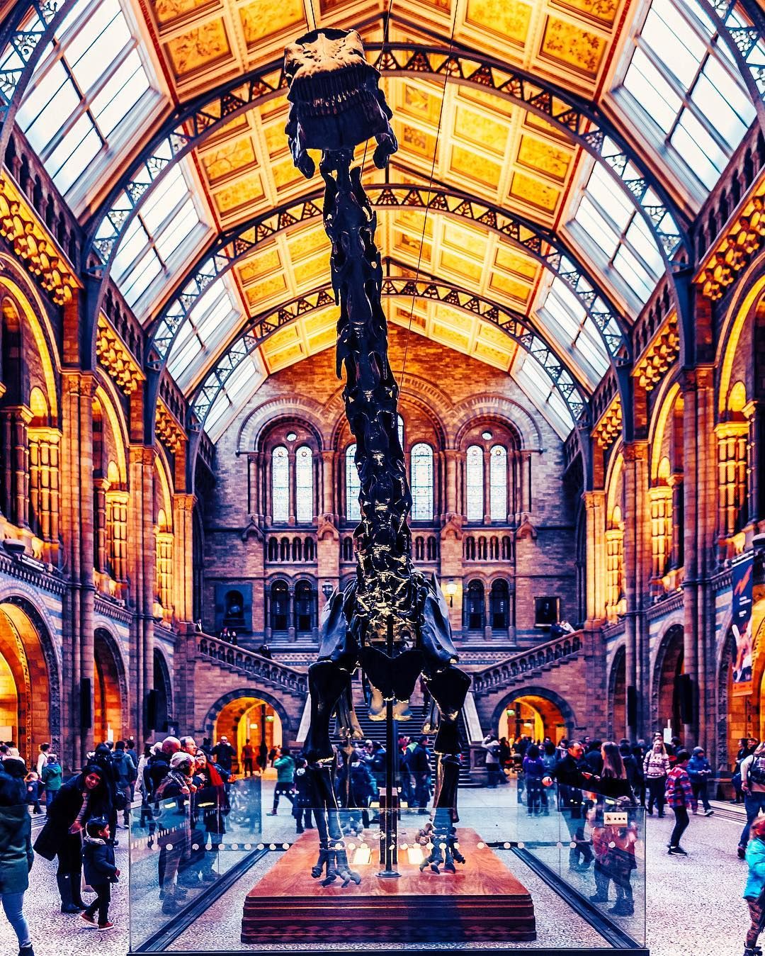 The #London Natural History Museum.