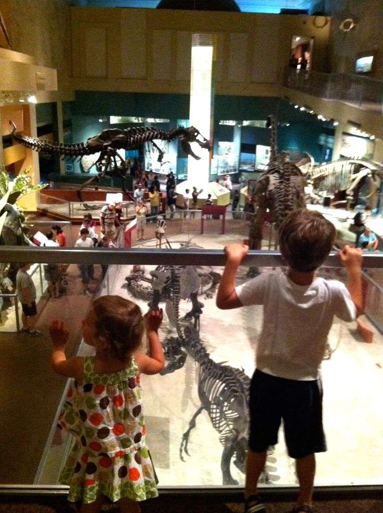 the national museum of natural history is located at
