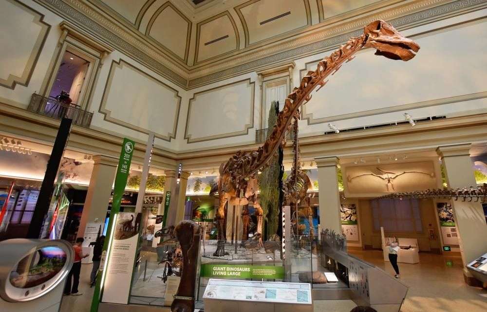 The Smithsonian National Museum of Natural History