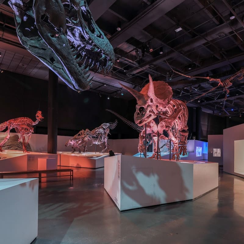 Tickets for Houston Museum of Natural Science