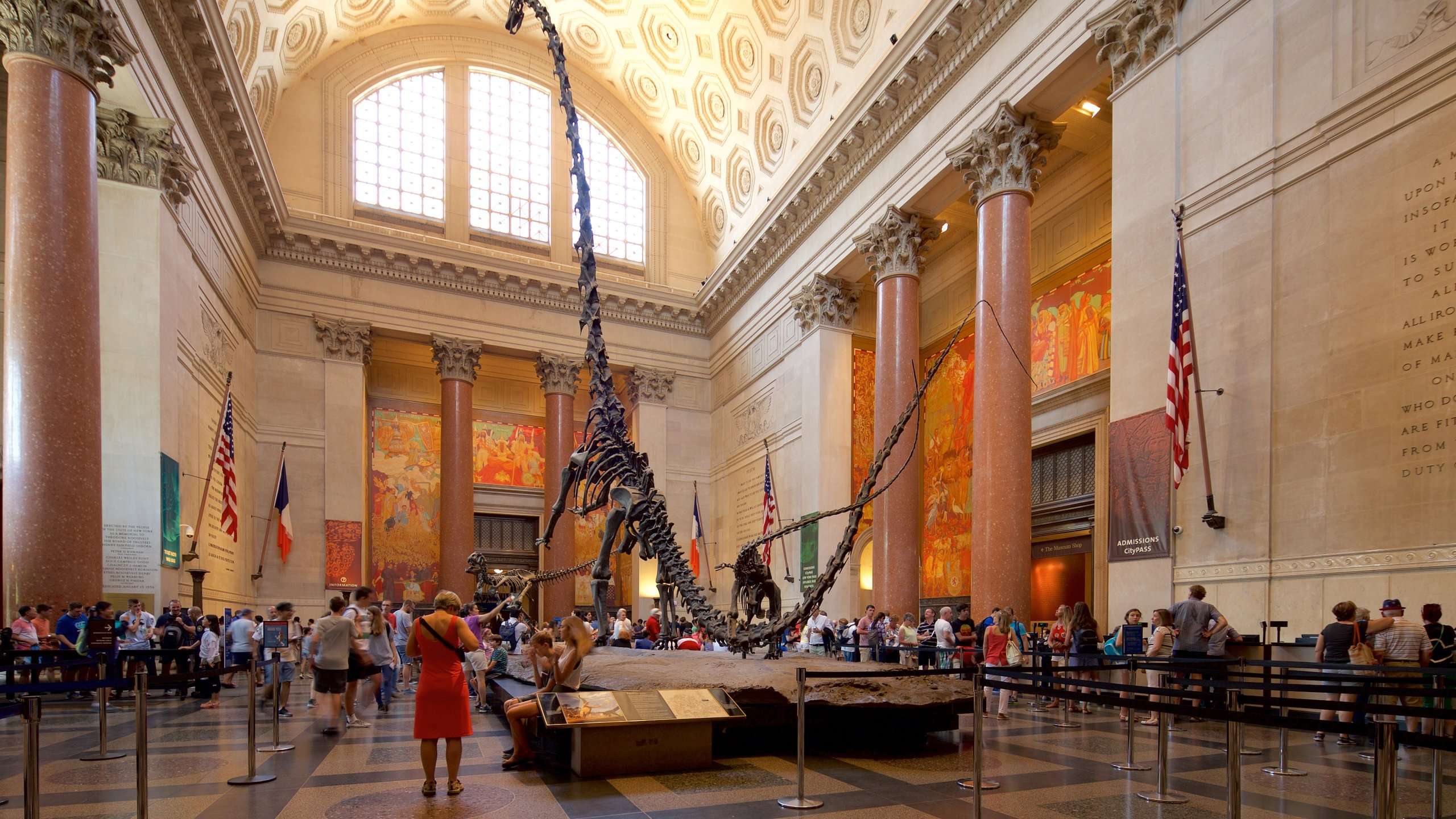 Top 10 Hotels Closest to American Museum of Natural ...