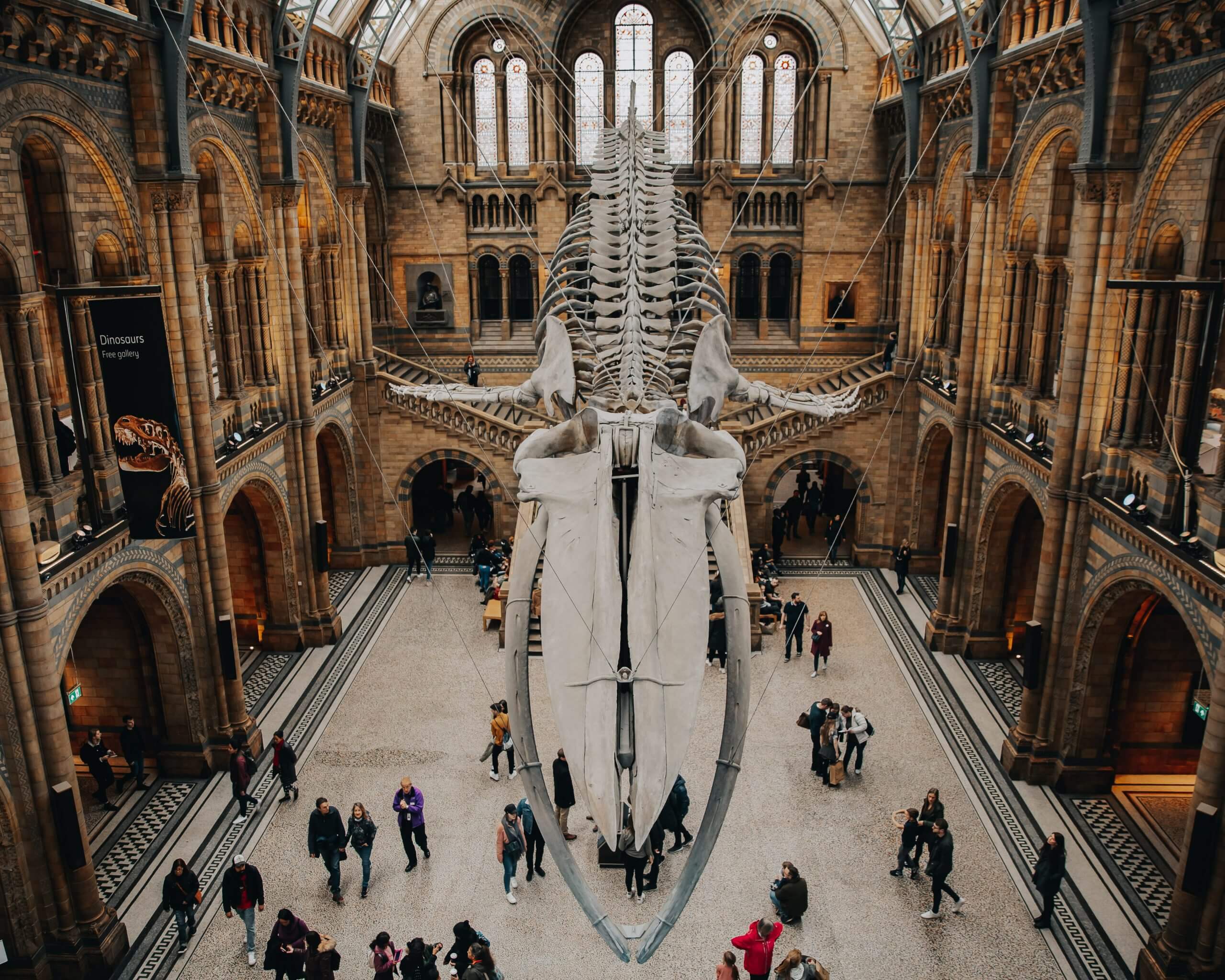 Ultimate Guide to Londons Natural History Museum: tickets ...
